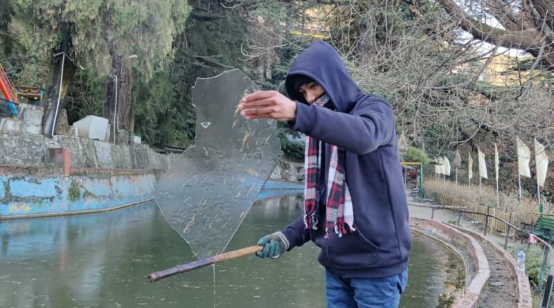 मसूरी : शहर में हुआ मौसम खुशनुमा, पाला बन रहा हादसे का कारण ।