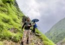 पिथौरागढ़ : 3 हफ्ते बाद सुवा रोड पर वन विभाग की बड़ी कार्रवाई |