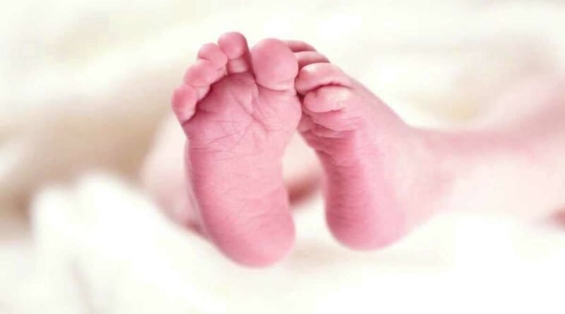 ऋषिकेश : दो अलग अलग घाटों पर नवजातों के शव मिलने से हड़कंप ।